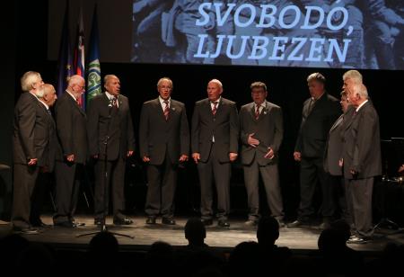 OBLETNICA POŽIGA CERKNICE 07 FOTO LJUBO VUKELIČ